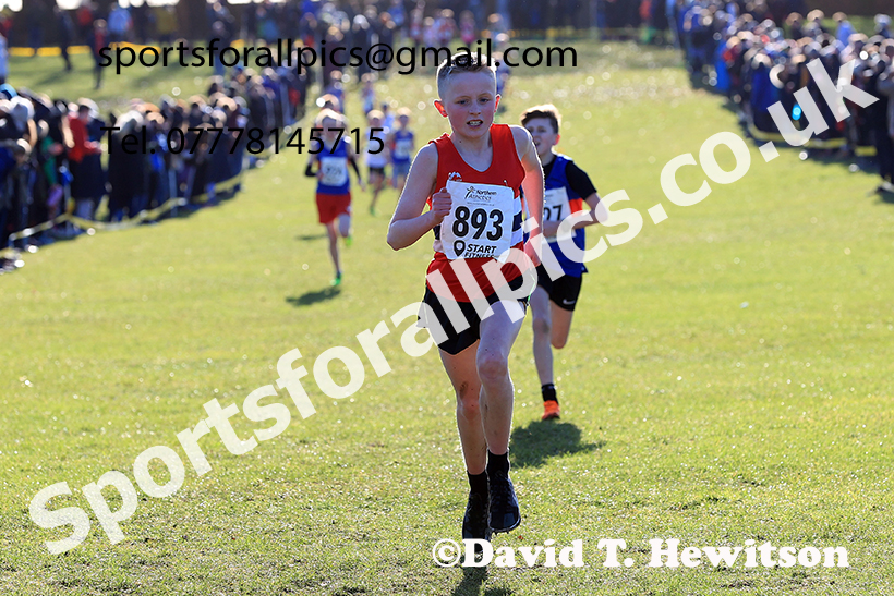 Boys under-13s 2025 Northern Cross Country Champs, Tatton Park, Knutsford, Cheshire. Photo: David T. Hewitson/Sports for All Pics